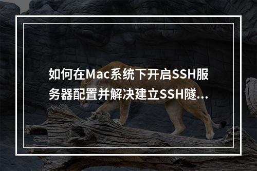 如何在Mac系统下开启SSH服务器配置并解决建立SSH隧道时的no match mac found报错问题?