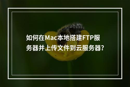 如何在Mac本地搭建FTP服务器并上传文件到云服务器?