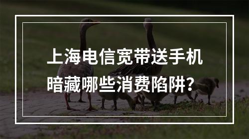 上海电信宽带送手机暗藏哪些消费陷阱？