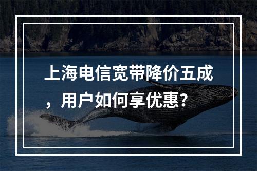 上海电信宽带降价五成，用户如何享优惠？