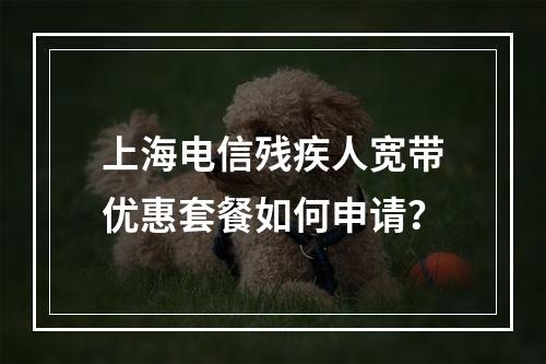 上海电信残疾人宽带优惠套餐如何申请？