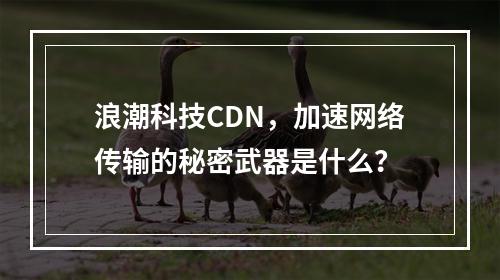 浪潮科技CDN,加速网络传输的秘密武器是什么?