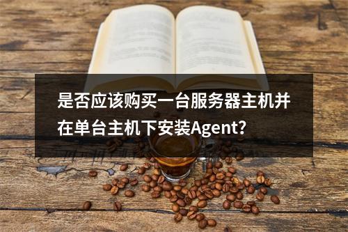 是否应该购买一台服务器主机并在单台主机下安装Agent?