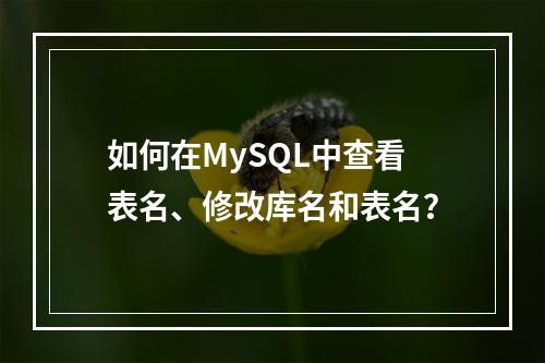 如何在MySQL中查看表名、修改库名和表名?