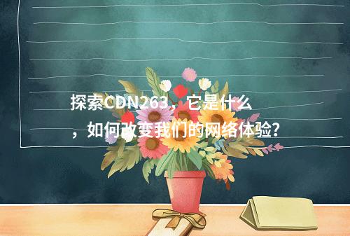 探索CDN263,它是什么,如何改变我们的网络体验?