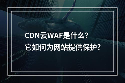 CDN云WAF是什么?它如何为网站提供保护?