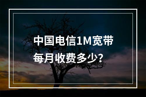 中国电信1M宽带每月收费多少？