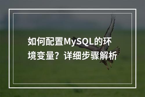 如何配置MySQL的环境变量?详细步骤解析