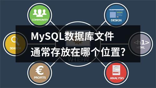 MySQL数据库文件通常存放在哪个位置?