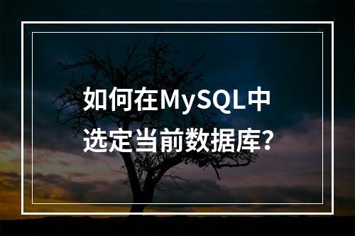 如何在MySQL中选定当前数据库?