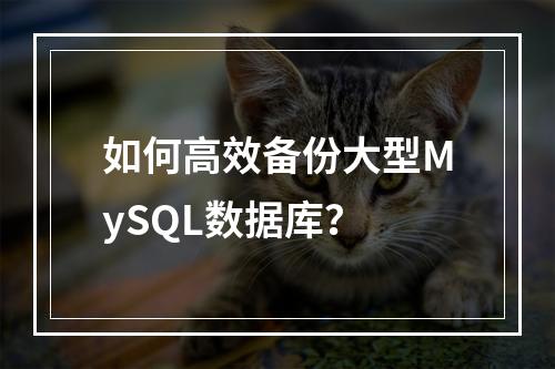 如何高效备份大型MySQL数据库?