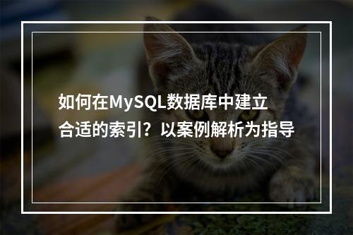 如何在MySQL数据库中建立合适的索引?以案例解析为指导