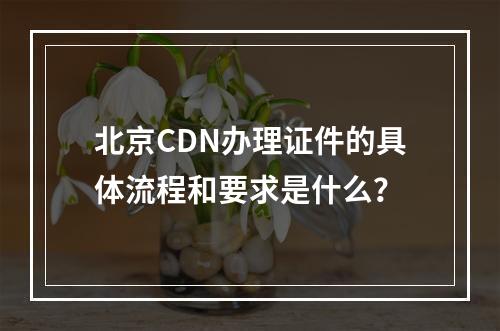北京CDN办理证件的具体流程和要求是什么?