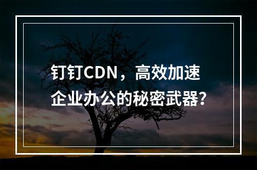 钉钉CDN,高效加速企业办公的秘密武器?