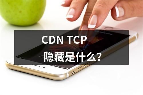 CDN TCP 隐藏是什么?