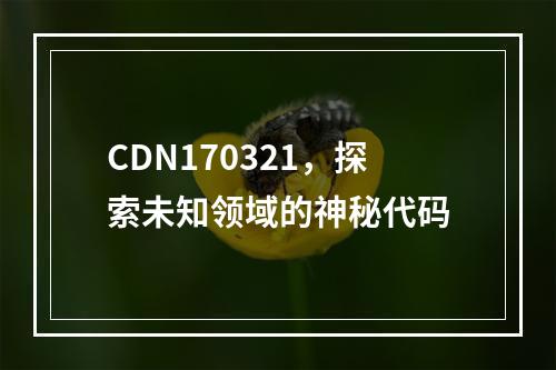 CDN170321,探索未知领域的神秘代码