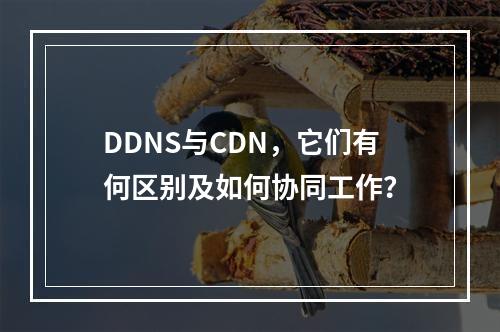 DDNS与CDN,它们有何区别及如何协同工作?