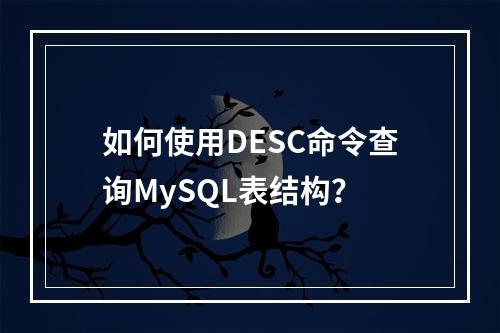 如何使用DESC命令查询MySQL表结构?