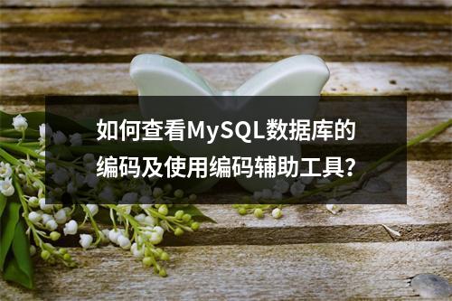 如何查看MySQL数据库的编码及使用编码辅助工具?