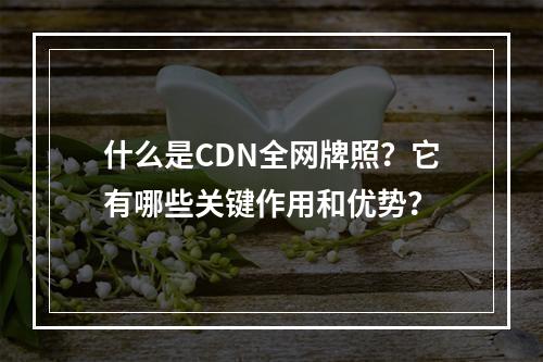 什么是CDN全网牌照?它有哪些关键作用和优势?