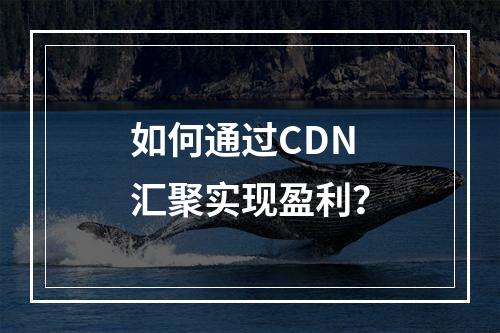 如何通过CDN汇聚实现盈利?