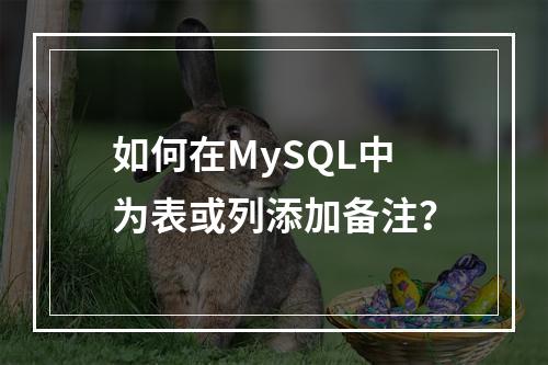 如何在MySQL中为表或列添加备注?