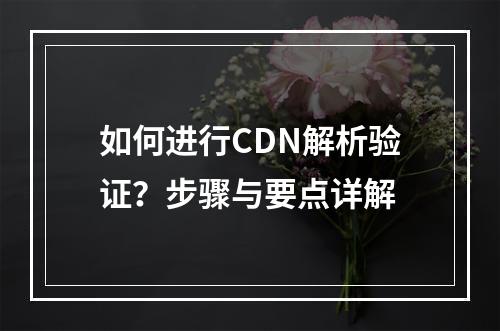 如何进行CDN解析验证?步骤与要点详解