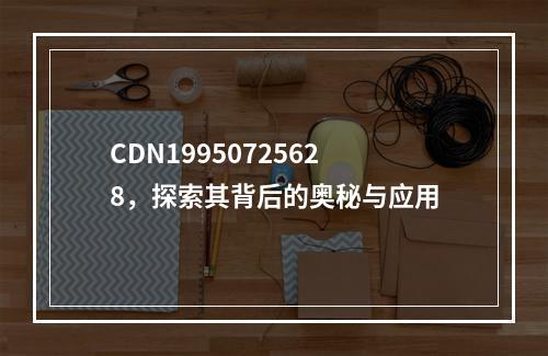 CDN19950725628,探索其背后的奥秘与应用