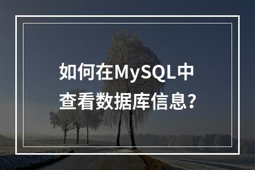 如何在MySQL中查看数据库信息?