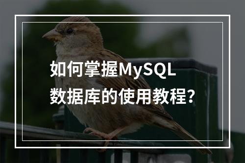 如何掌握MySQL数据库的使用教程?
