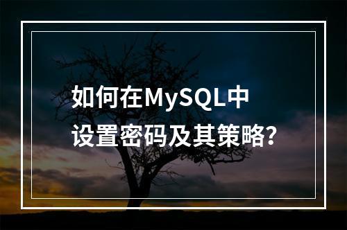 如何在MySQL中设置密码及其策略?