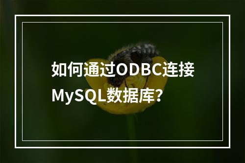 如何通过ODBC连接MySQL数据库?