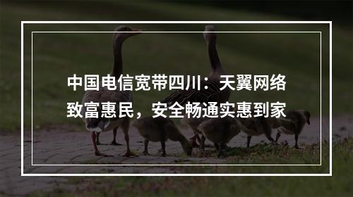 中国电信宽带四川：天翼网络致富惠民，安全畅通实惠到家