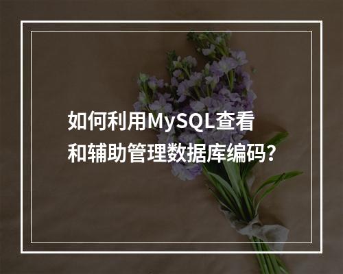 如何利用MySQL查看和辅助管理数据库编码?