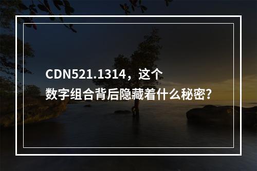 CDN521.1314,这个数字组合背后隐藏着什么秘密?