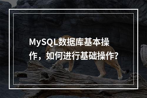 MySQL数据库基本操作,如何进行基础操作?