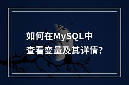 如何在MySQL中查看变量及其详情?
