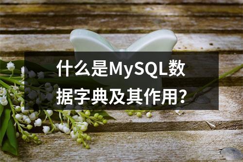 什么是MySQL数据字典及其作用?