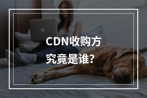 CDN收购方究竟是谁?