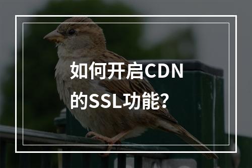 如何开启CDN的SSL功能?