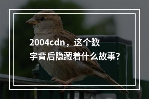 2004cdn,这个数字背后隐藏着什么故事?