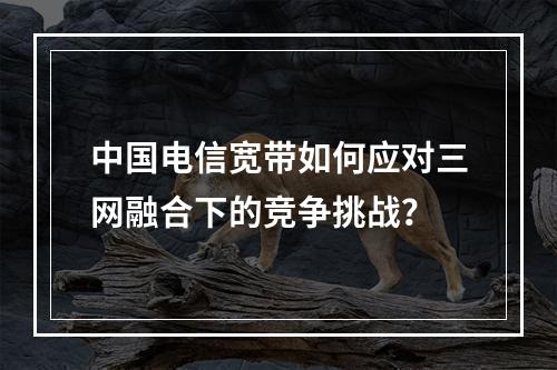 中国电信宽带如何应对三网融合下的竞争挑战？