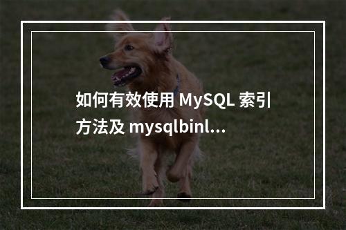 如何有效使用 MySQL 索引方法及 mysqlbinlog 工具?