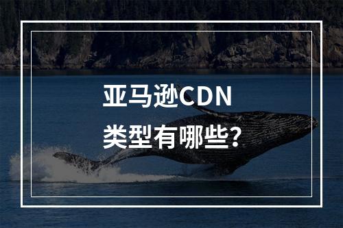 亚马逊CDN类型有哪些?
