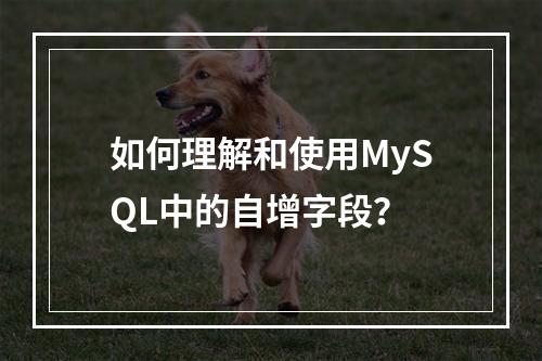 如何理解和使用MySQL中的自增字段?