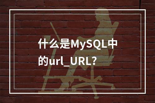 什么是MySQL中的url_URL?