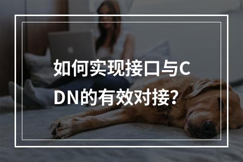 如何实现接口与CDN的有效对接?