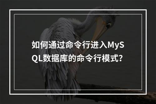 如何通过命令行进入MySQL数据库的命令行模式?