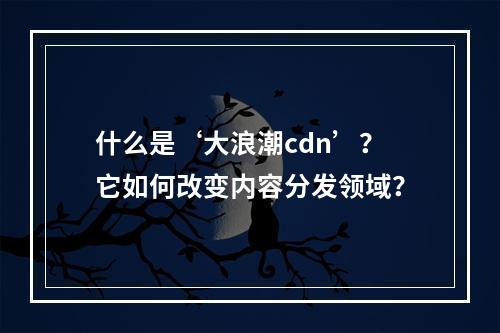 什么是‘大浪潮cdn’?它如何改变内容分发领域?