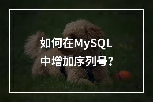 如何在MySQL中增加序列号?